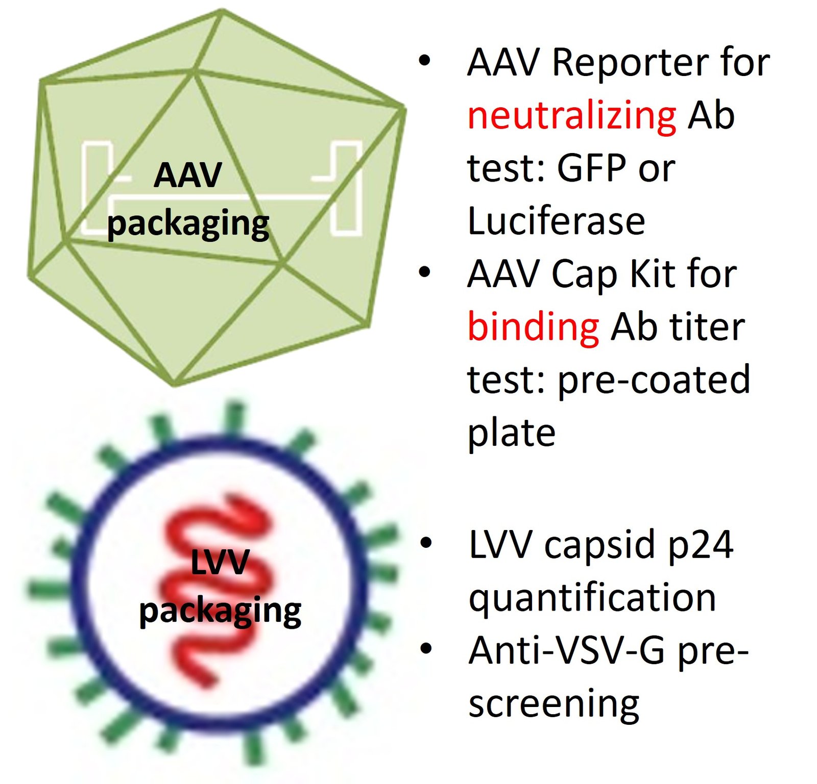 Gene Therapy