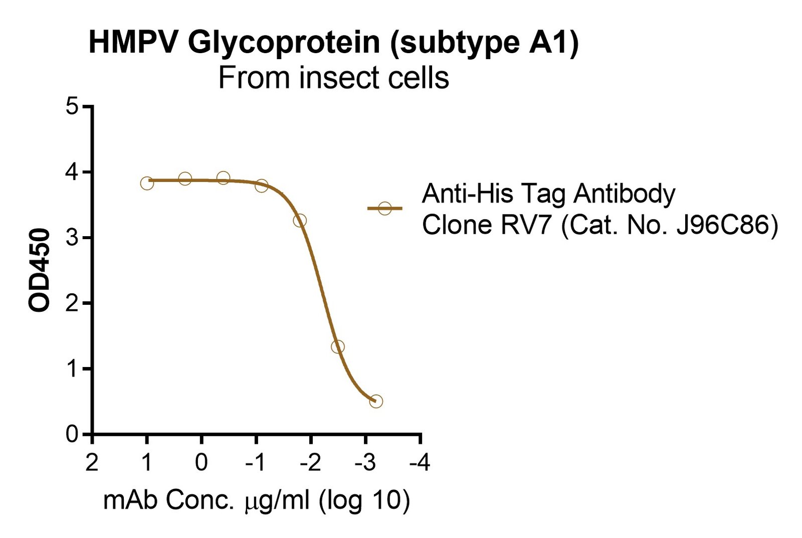 HMPV Glycoprotein (subtype A1), His and Fc tags