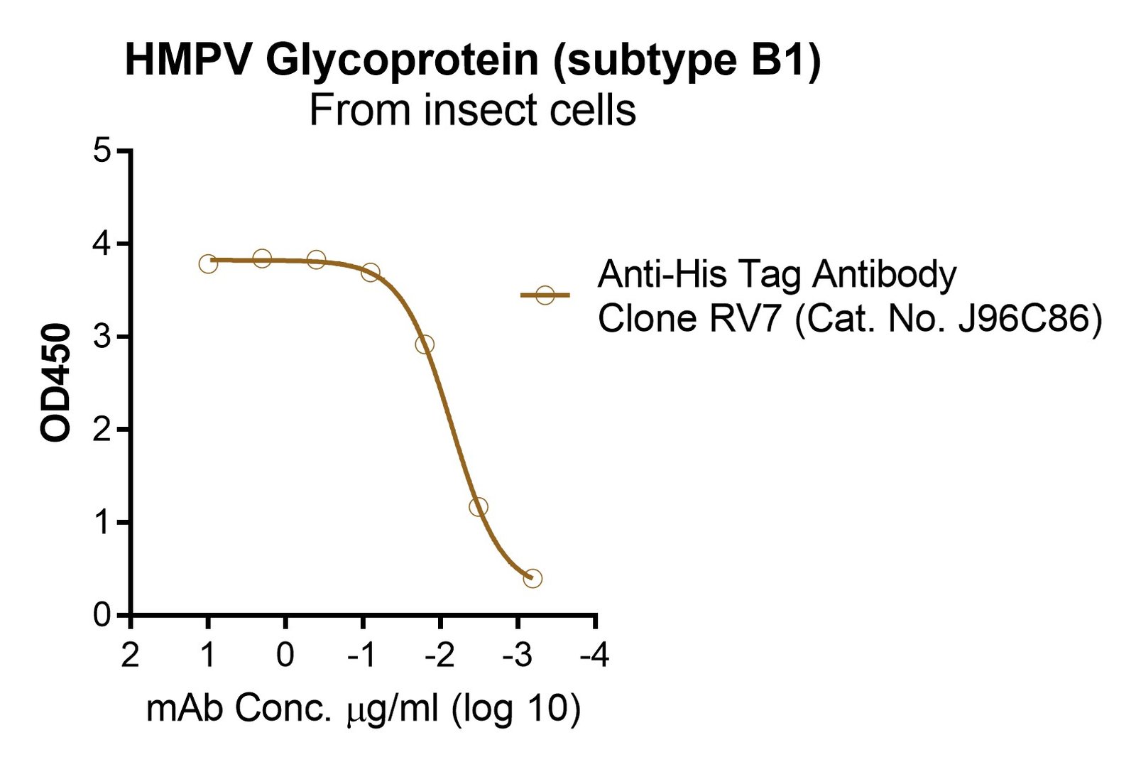 HMPV Glycoprotein (subtype B1), His and Fc tags