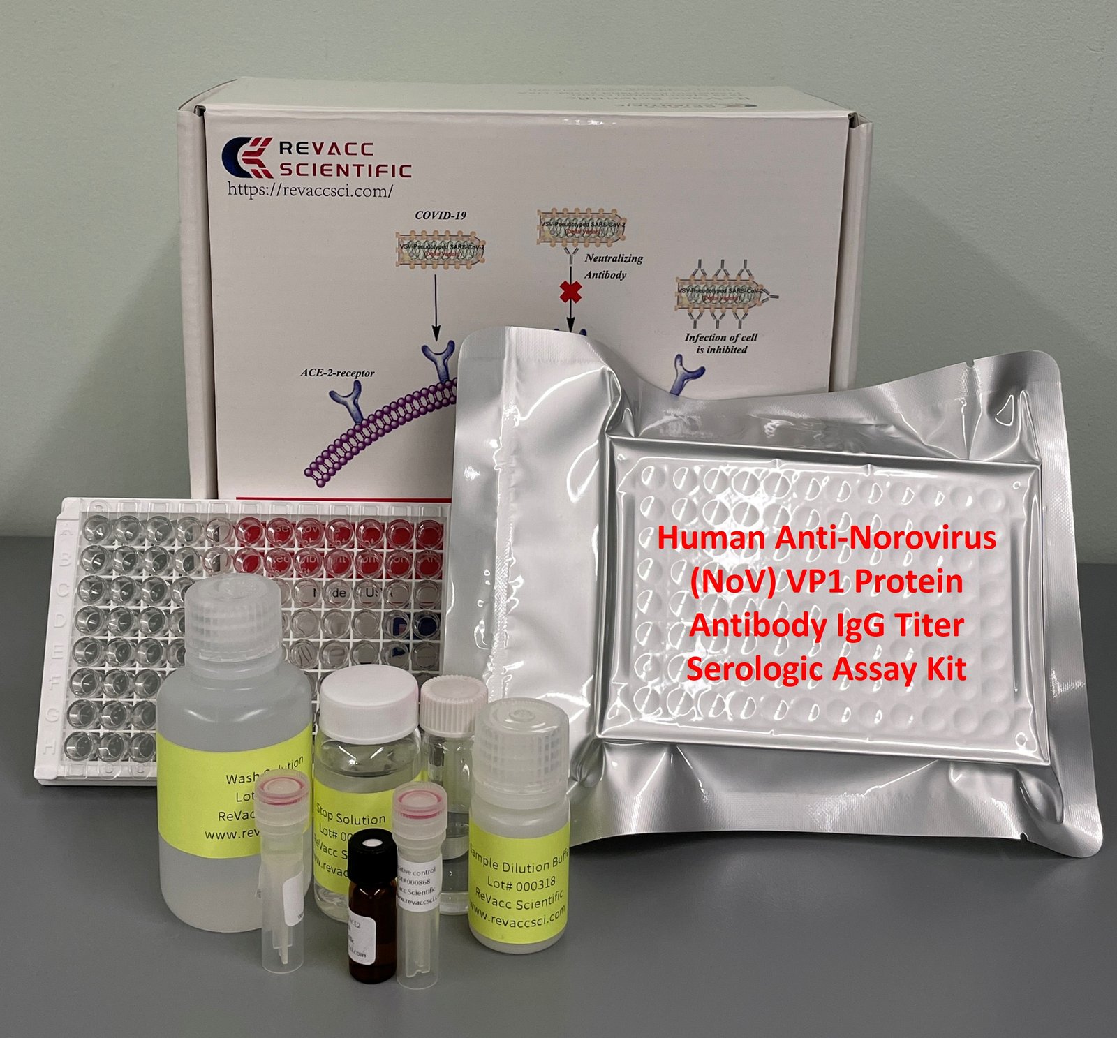 Human Anti-Norovirus (NoV) VP1 Protein Antibody IgG Titer Serologic Assay Kit