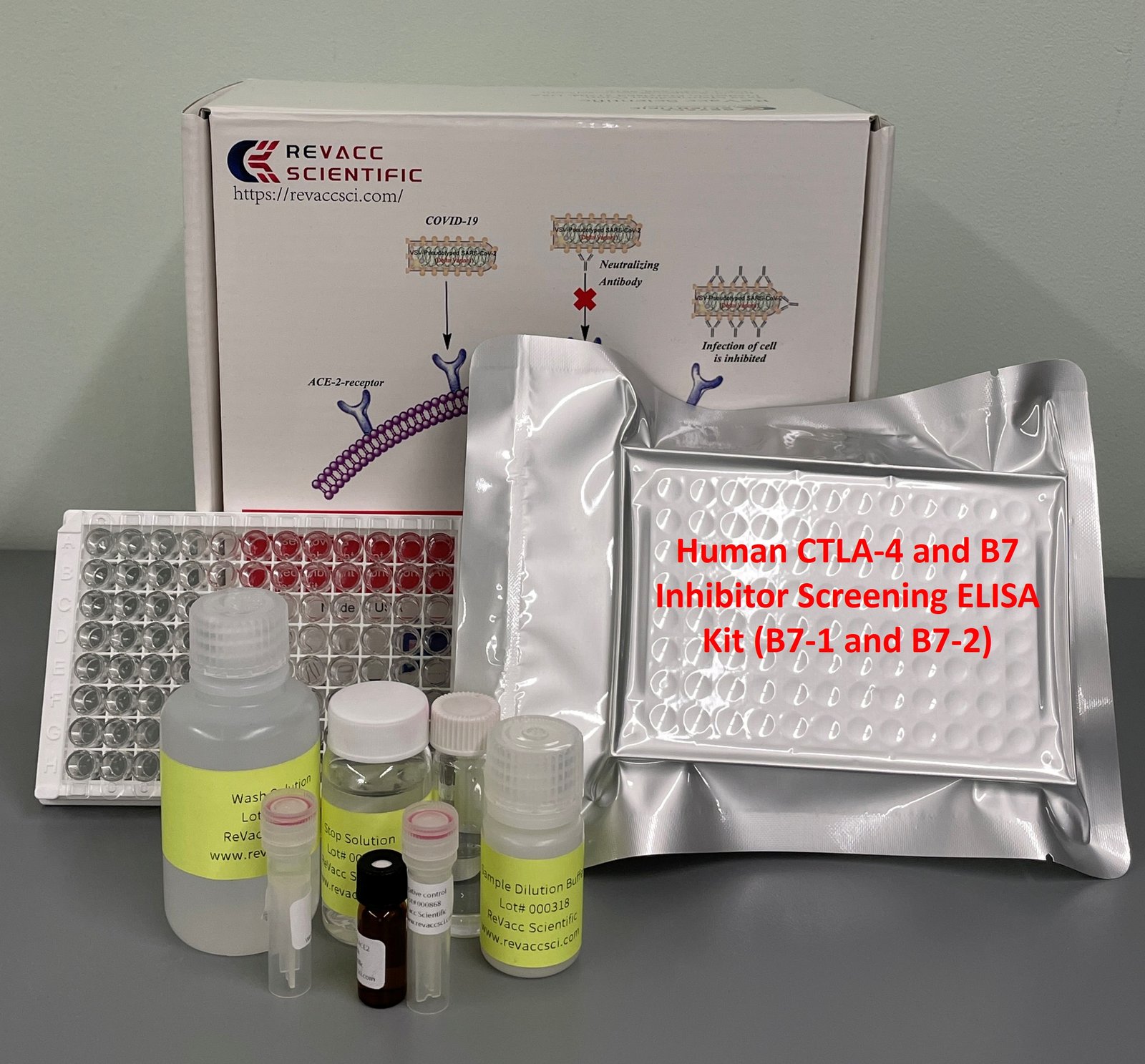 Human CTLA-4 and B7 Inhibitor Screening ELISA Kit (B7-1 and B7-2)