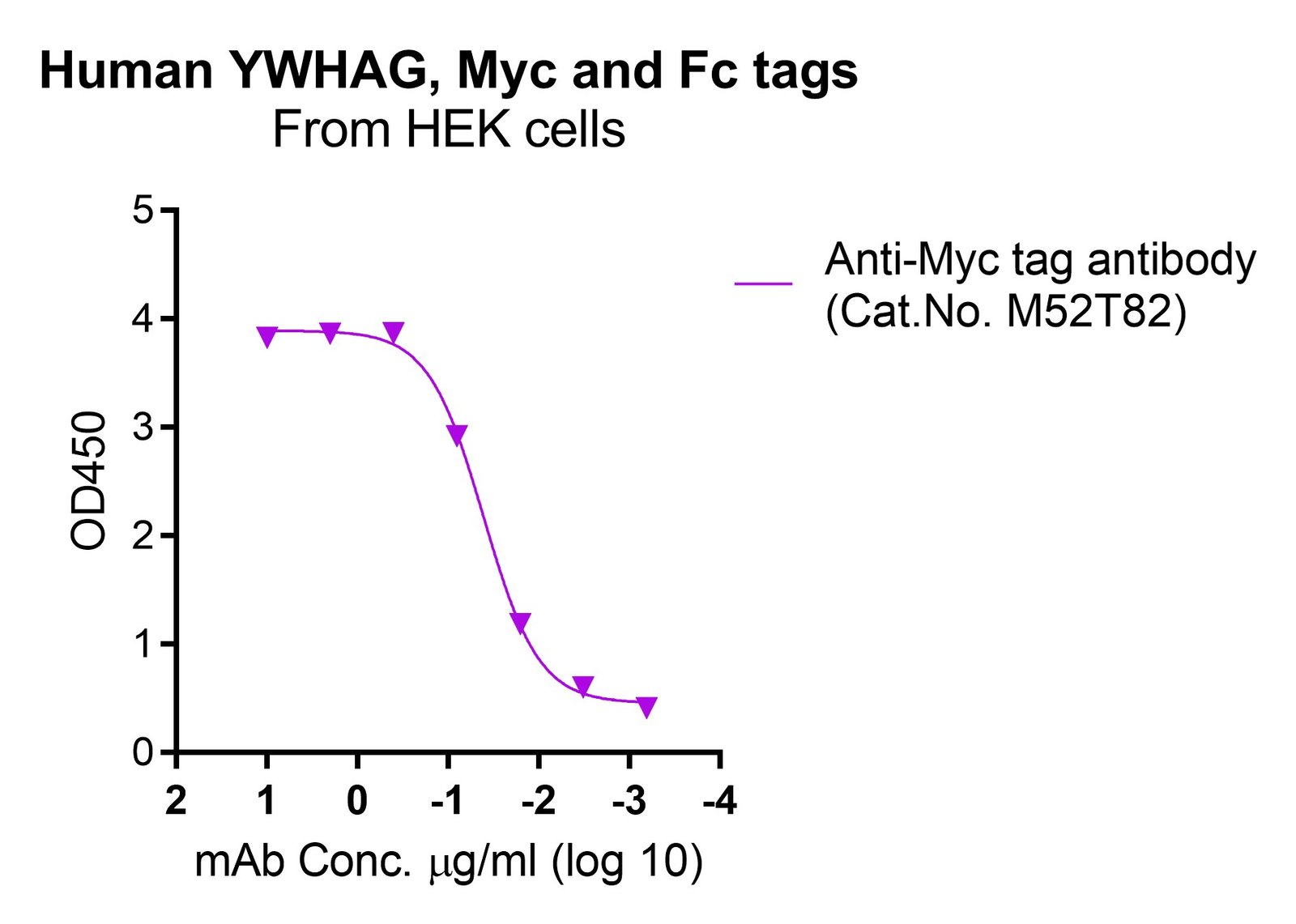 Human YWHAG protein, Myc and Fc tags