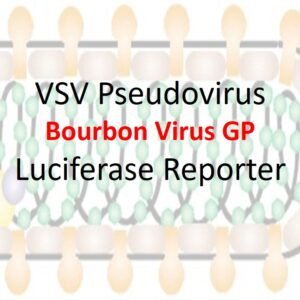 VSV-Pseudovirus_Bourbon Virus GP with Luciferase Reporter