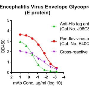 Japanese Encephalitis Virus Envelope Glycoprotein (E protein) (Peking 3 Strain), His and Fc tags
